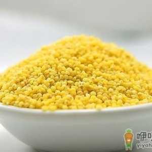 常吃八种食物 帮你排出身体毒素