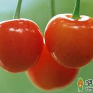 吃什么美白?美白食品助你吃出白皙肌肤