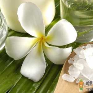 T区护肤-控油主动权要抓牢