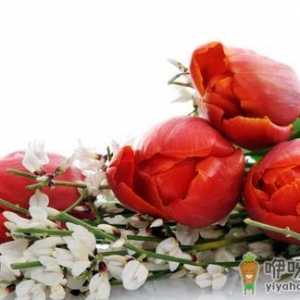 巧用鲜花打造水嫩美肌的美容护肤小窍门