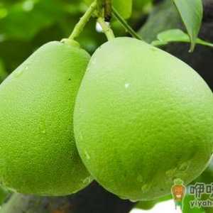 舌尖上能带给你的美丽