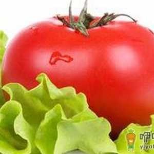 四个好习惯让女人水润一整天