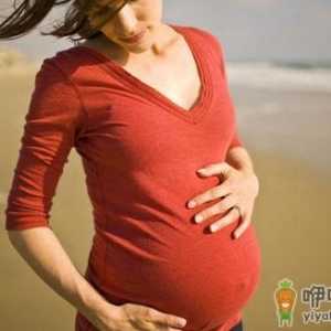 宝宝营养食谱推荐：花鲢鱼丸的做法