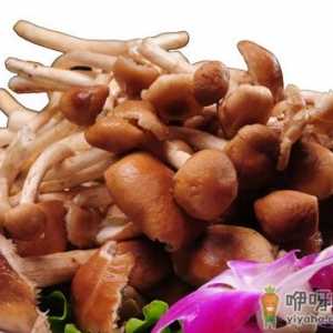 宝宝可以吃杏鲍菇吗？吃杏鲍菇的禁忌