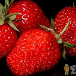 女性常吃什么食物能够美白去火？