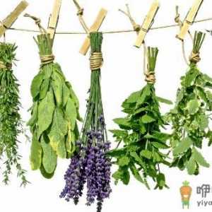 药妆是什么？如何挑选药妆？