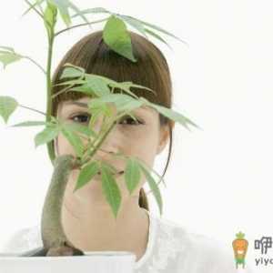 能够帮助肌肤白嫩的秘方