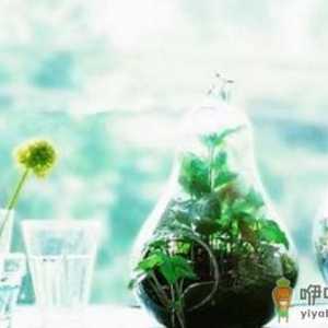 自制果蔬面膜：享受细腻肤质的感觉