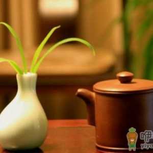 夏季喝什么对皮肤有好处