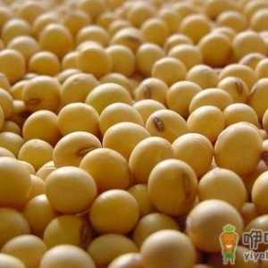 吃黄豆能不能减肥？