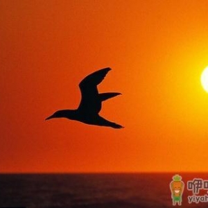 经验分享：见习生对职场的感悟