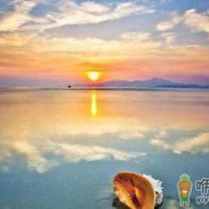职场晋升必知：无视公司的文化