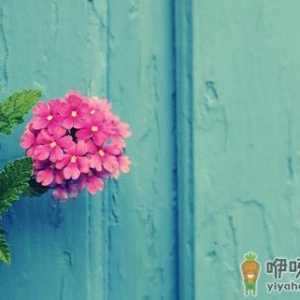 女人应该怎么跨入恋爱之门？