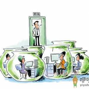 不要做只会关注工作的人