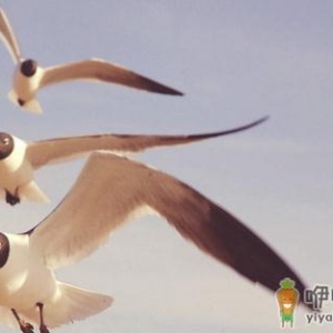 你的心理资本就是你的职场竞争力