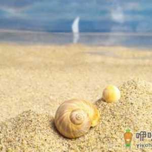 爱情问题帮你决定是否还要继续