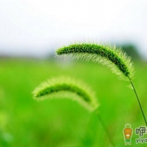 在职场生存必须掌握的能力