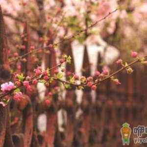 盘点女人在爱情里做过的傻事