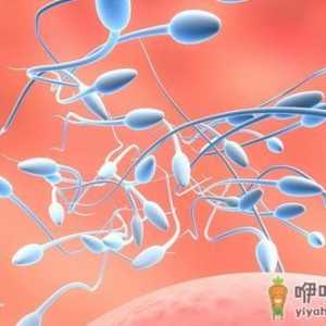 精子在女性体内是啥样