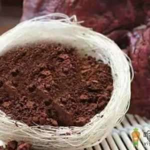 灵芝孢子粉保健身体的功效 灵芝孢子粉的食用方法