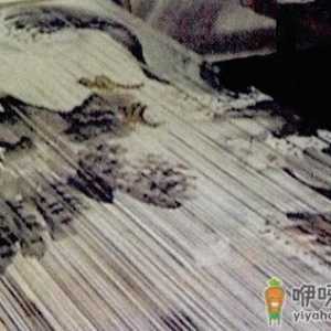 永春纸织画的魅力