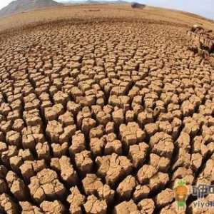 6月17日是什么节日？世界防治荒漠化和干旱日