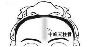 骨相图解：中峰天柱骨