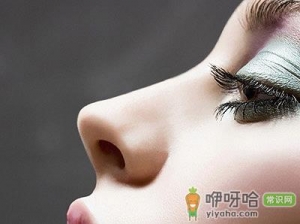 鼻子看相：从鼻子看一生的财运和事业运