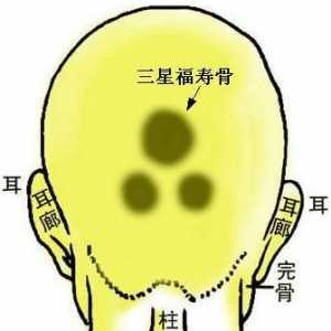 骨相图解：三星福寿骨