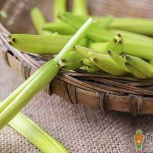 黄花菜的营养价值高 黄花菜的美味吃法