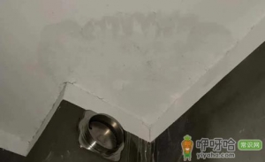能从室内屋顶做防水吗