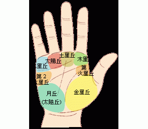 手相中的八大掌丘图解：手掌上的八大丘