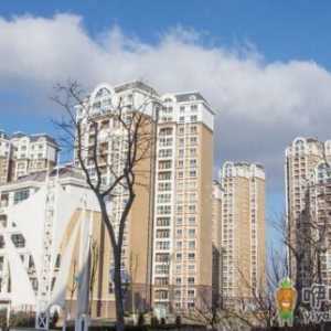 高层楼房为什么有壁虎 买高层楼房时要注意哪些事项
