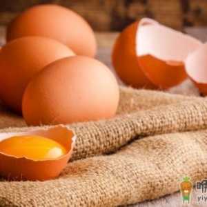 红壳鸡蛋vs白壳鸡蛋 到底哪款营养价值最高