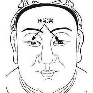 面相算命图解：面相十二宫图之田宅宫