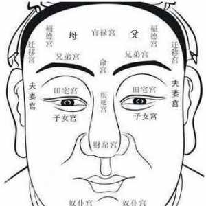 面相学中的十二宫的含义