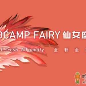 小仙女通关大人世界的第一站——仙女座DCAMP FAIRY