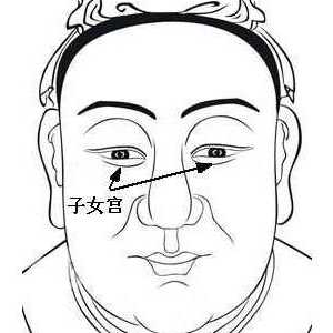 面相算命图解：面相十二宫图之子女宫