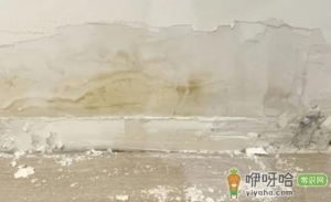网上找的防水补漏靠谱吗