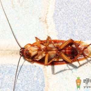 潜藏致癌风险的日常生活用品 买类似用品要看成分