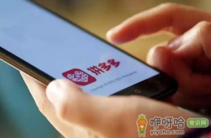 拼多多直接免拼和拼单什么区别