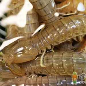 皮皮虾蒸久了肉都没了 蒸皮皮虾多长时间