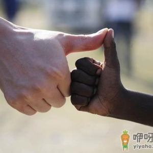 8月19日是什么节日？世界人道主义日是几月几日