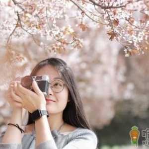 踏青赏花正当时 赏花后如何护理防过敏
