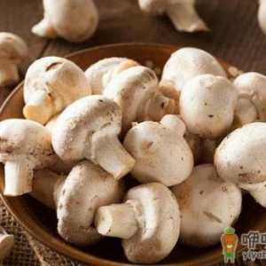 蘑菇减肥5个食谱吃了就能瘦下来 赶快收藏