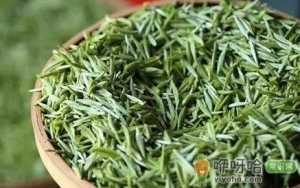 信阳毛尖茶泡出来浑浊好还是清好