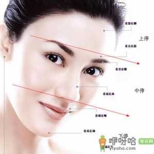 面相图解：从面相三停看幸福运势吉凶