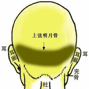 骨相图解：两弦明月骨