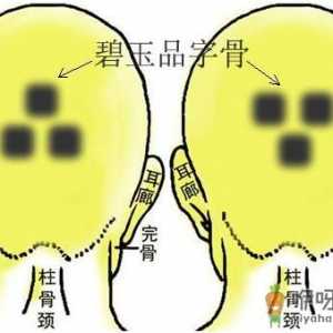 骨相图解：碧玉品字骨