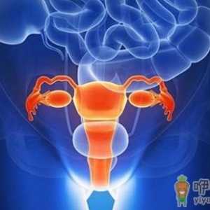 先天性无阴道的治疗方法 先天性无阴道造成的危害